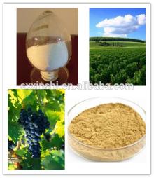 red wine resveratrol