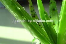 Best Price For Natural Aloe Vera Extract 200:1 From Gmp Manufacturer,Made In China