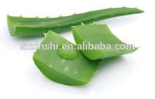 Natural Plant 90%-98% Aloeemodin Aloe Vera Extract 20:1