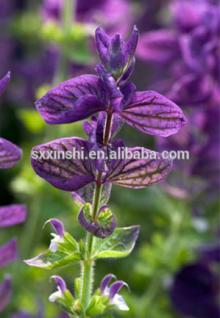 Ambroxide To Added In High-grade Perfumes And Cosmetic Flavors