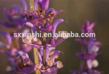 Herbal Products Wholesaler Supply Salvia Sclarea Extract Sclareolide