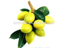 10-98% Oleuropein/1-98% Hydroxytyrosol /olive Leaf Extract