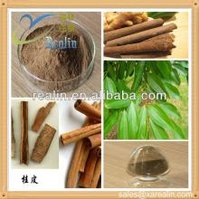 High Quality Natural Cortex Cinnamon Extract at Factory Price