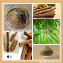 Natural Cassia Bark P.E.Cinnamon Bark Powder/Cinnamon Extract