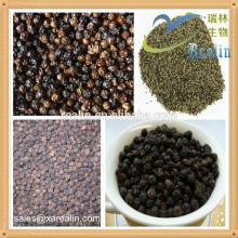 high quality black pepper kerala extract & black pepper price