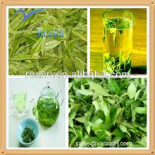 Natural Herbal Extract Green Tea Extract Camellia Sinensis Extract