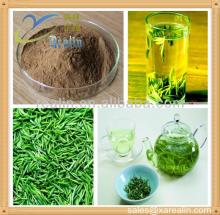 Slimming Ingredient Green Tea Extract 98% Tea polyphenols