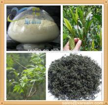 natural plant vine tea extract 98% dihydromyricetin powder,Dihydromyricetin