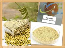 natural soy protein powder from manufacture worldwode fast delivery