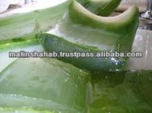ALOE VERA extract powder