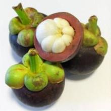 Mangosteen Extract