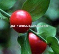 Butcher's Broom Extract