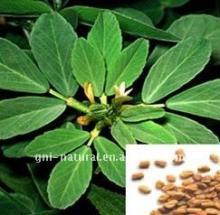 Fenugreek Seed Extract