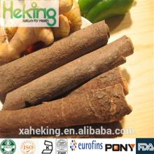 2014 100% Natural High Quality Cinnamon extract/Nature cinnamon extract (Polyphenols, Flavone)
