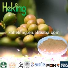 green coffee bean extract supplier