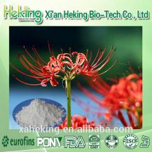 Offering High Quality Lycoris Radiata Extract powder