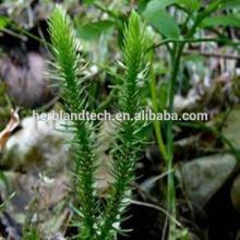 Organic Huperzine a with natural vitamin E