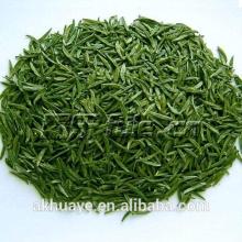 Chinese green tea  Kosher  & ISO Natural Pure Green tea extract powder / L-Theanine 5:1 extract powder