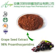 FacFactory Supply Natural 98% Grape Seed Extract with Proanthocyanidins