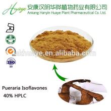 Natural Extract Powder Pueraria Isoflavones from Pueraria Mirifica Extract