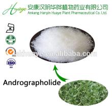 Andrographolide 10% Andrographolide powder in Andrographis Paniculata extract