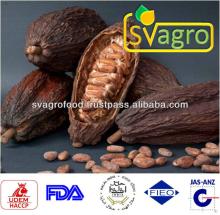 top quality Theobromine Cocoa Seed Extract