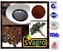 Sell Chicory Root Powder