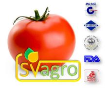 Halal Certified Tomato Powder from India