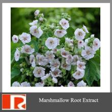 High Quality Marsh Mallow Extract;Marsh Mallow p.e.;Althaea officinalis L.