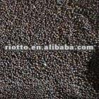 water-soluble black pepper extract