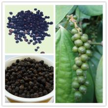 Black pepper  extract , Piperine   extract , piperine  powder 95%
