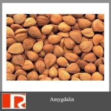 Bitter Apricot Seed Extract Amygdalin