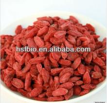 Goji Berry Extract wolfberry extract