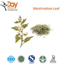 2013 New Organic Marshmallow Herb