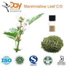 Halal Marshmallow Leaf Extract Powder 2-5mm