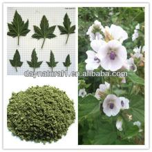Herbal Cigarettes Raw Materials Marshmallow Leaf Extract Powder HPLC/UV 10:1