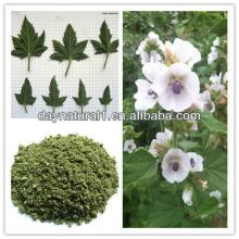 Herbal Marshmallow Root Extract Powder (Althaea Officinalis ) HPLC/UV 20:1