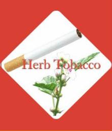 Herbal Marshmallow Plant for New Type Cigarette