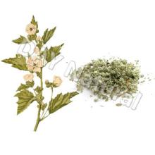 Herbal Raw Material Marshmallow Leaf Medicinal Use