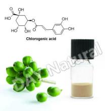 Green Coffee Instant Powder Tea Used in Slimming