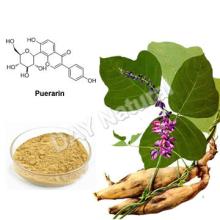Competitive price  kudzu  root Starch Powder for Capsule  tea  Powder