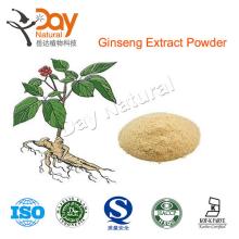 Panax Ginseng Extract Ginsenoside 98%