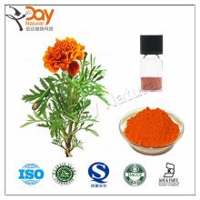 Eye Health  Marigold   Extract   Lutein   Powder 