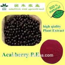 100% Natural acai berry extract powder