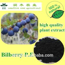 pure natural bilberry extracts