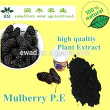 Mulberry extract anthocyanin powder 10%