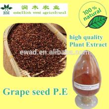 95% Natural extract grape seed OPC