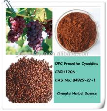 Grape Seed Extract OPC 95%