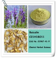 Herbal Extract-Scutellaria Baicalensis Extract 85% HPLC