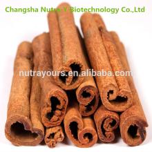 Chinese cinnamon bark extract